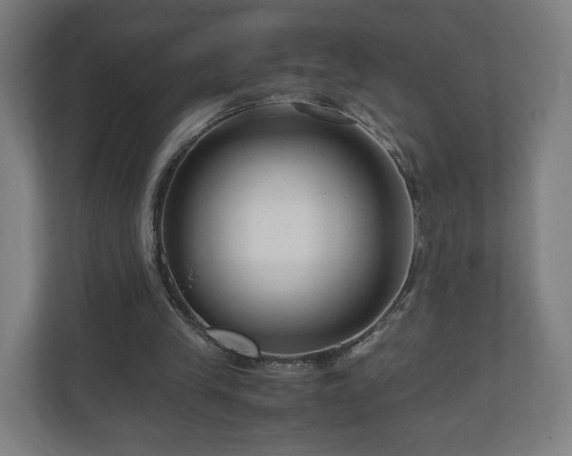 X0000111120245200907071003