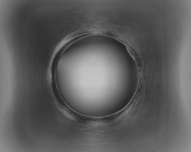 X0000111120246200907071003