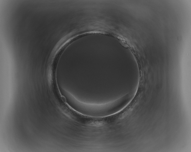 X0000111120247200907071003