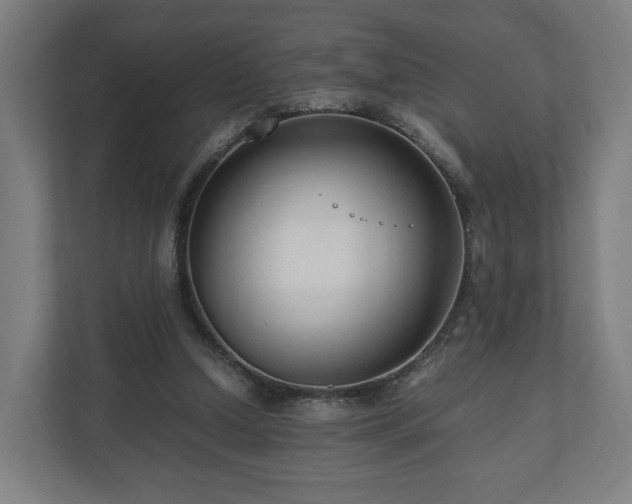 X0000111120250200907071003