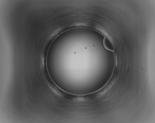 X0000111120253200907071003