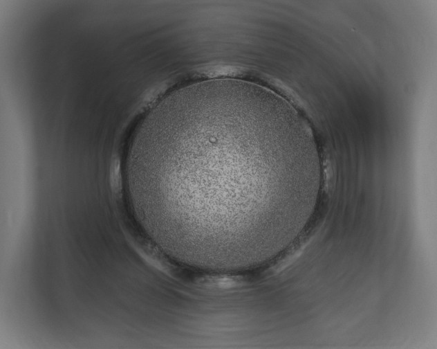 X0000111120254200907071003