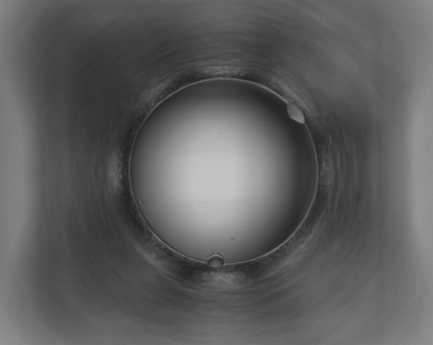 X0000111120255200907071003