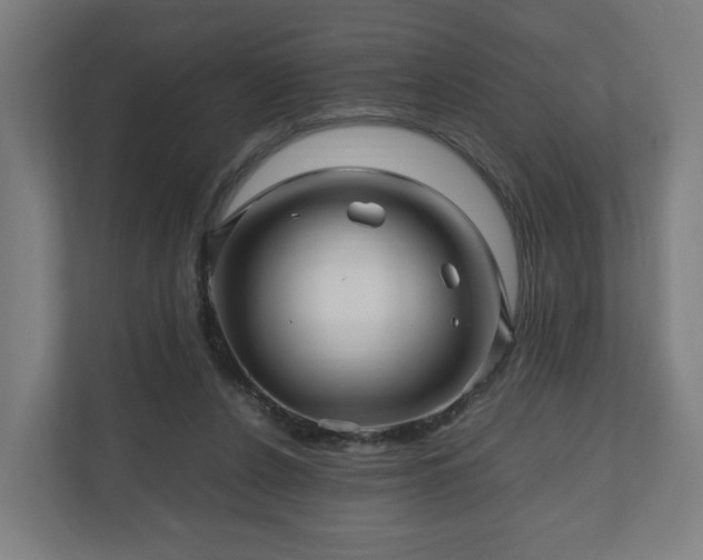 X0000111120256200907071003