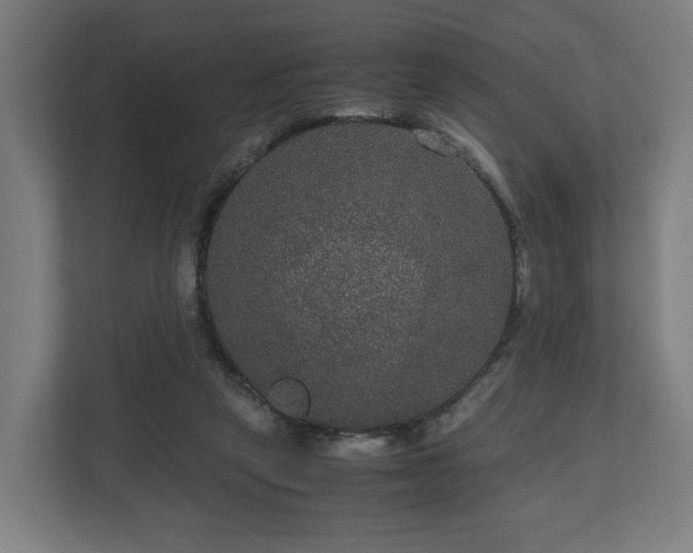 X0000111120257200907071003