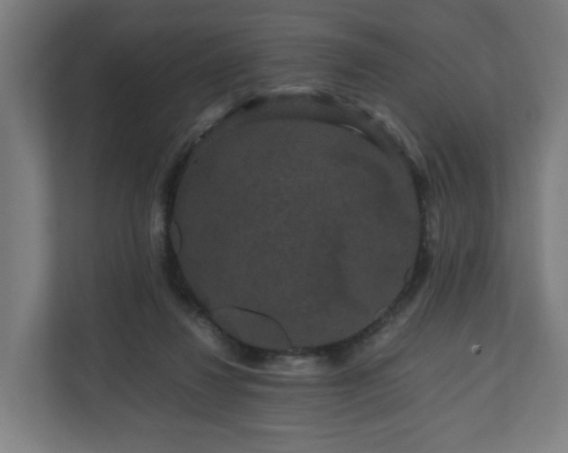 X0000111120260200907071003