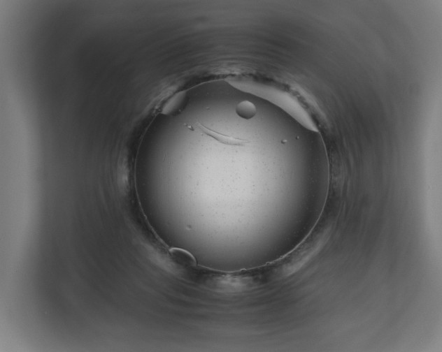 X0000111120261200907071003