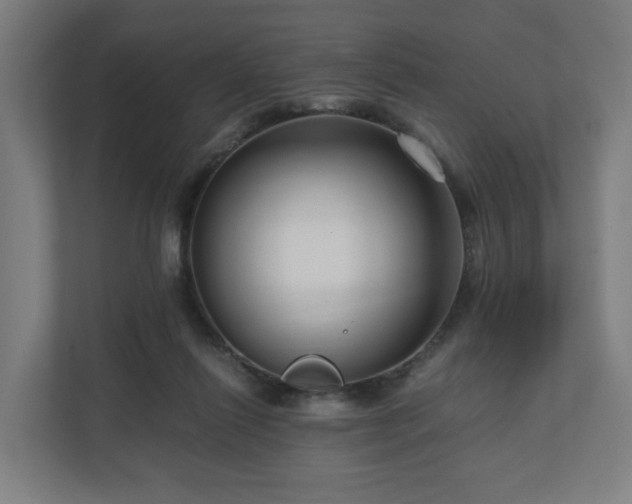 X0000111120262200907071003