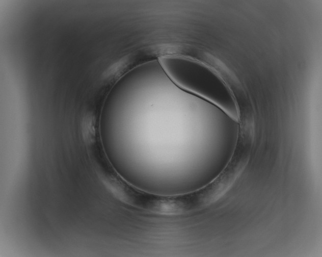 X0000111120264200907071003