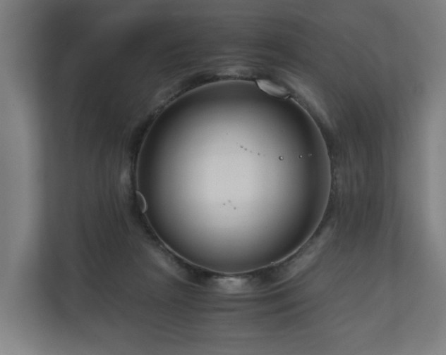 X0000111120265200907071003