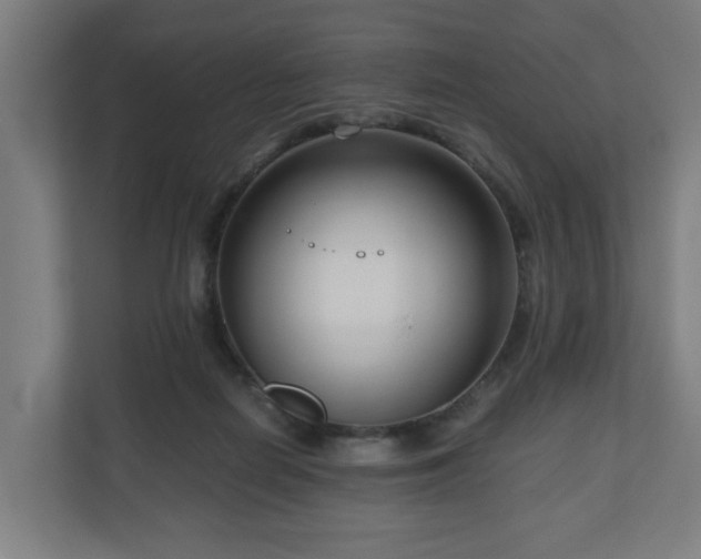 X0000111120266200907071003