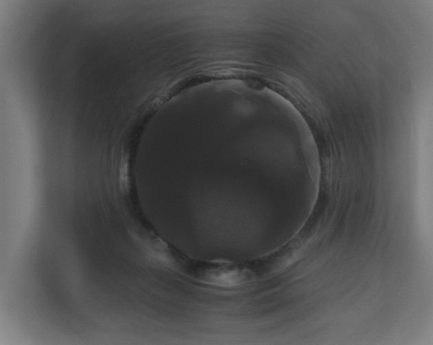 X0000111120267200907071003