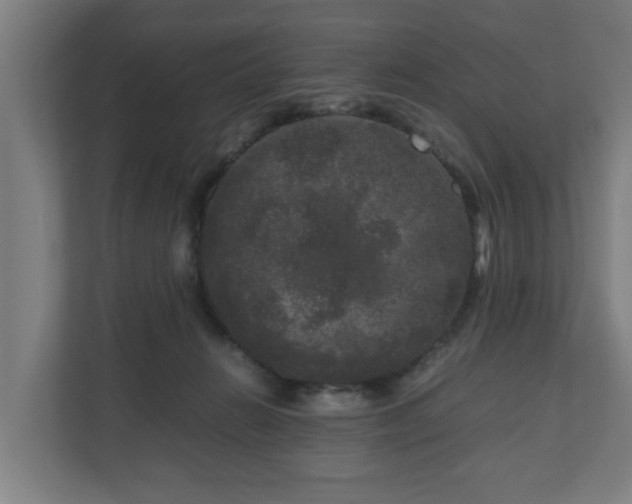 X0000111120270200907071003