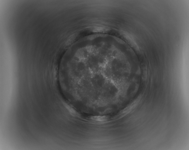 X0000111120273200907071003