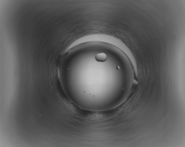 X0000111120276200907071004