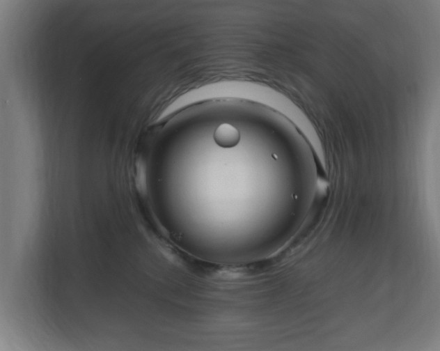 X0000111120280200907071004