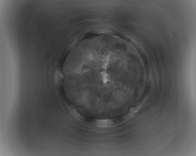 X0000111120281200907071004