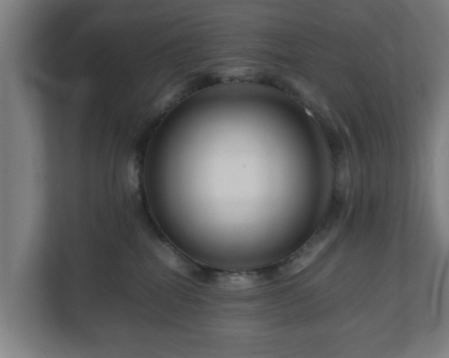 X0000111120282200907071004