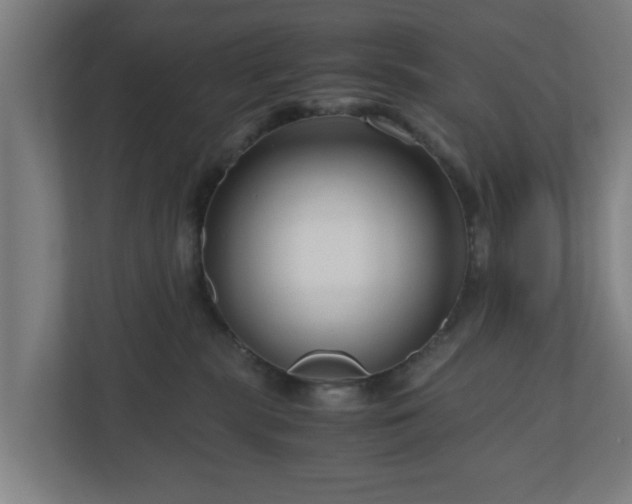 X0000111120283200907071004