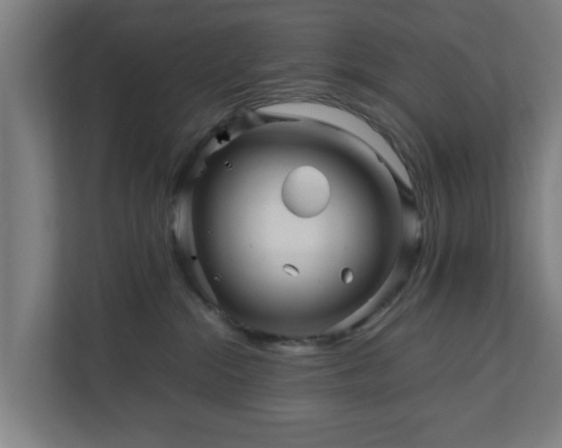 X0000111120284200907071004