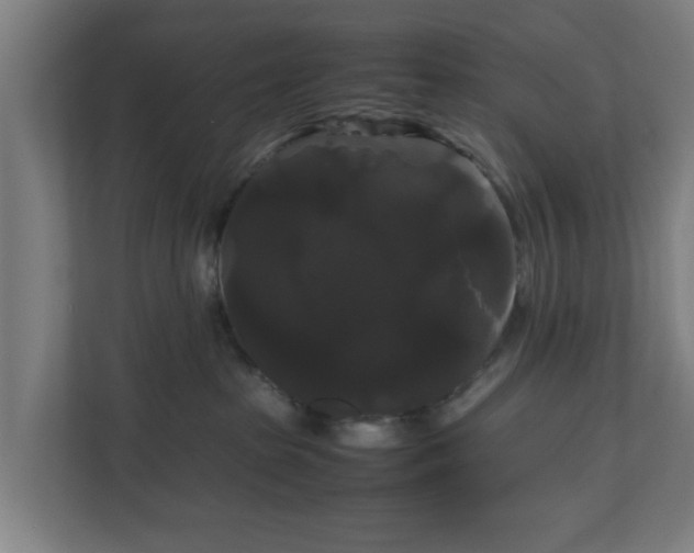 X0000111120285200907071004