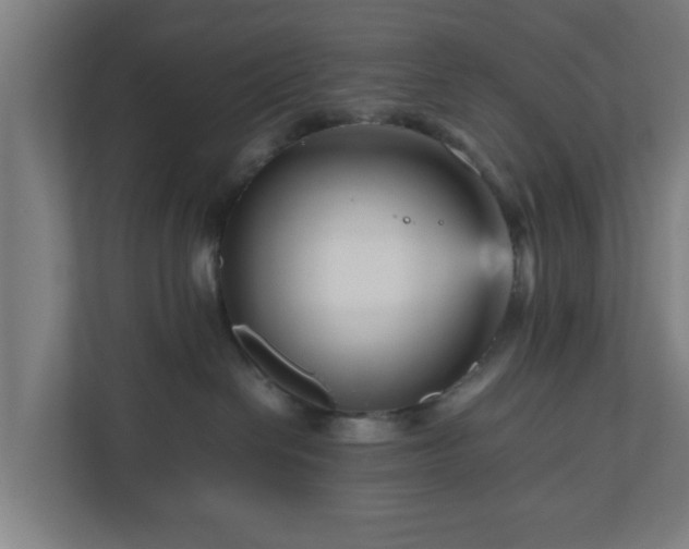 X0000111120286200907071004