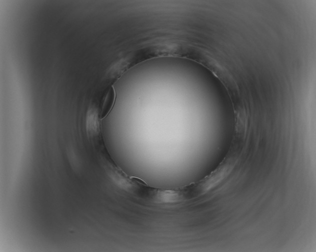 X0000111120287200907071004