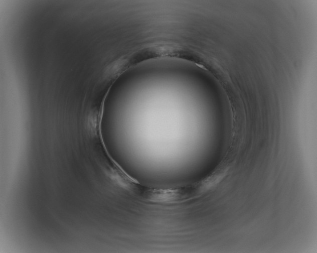 X0000111120288200907071004