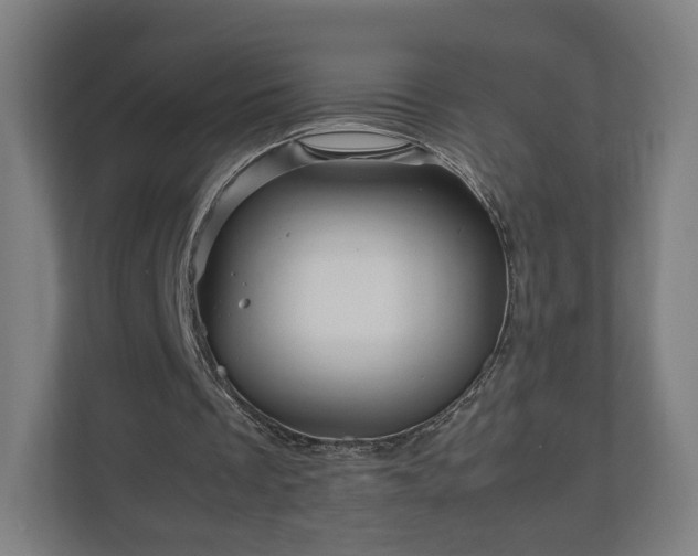 X0000111120289200907071003