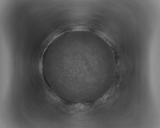 X0000111120290200907071003