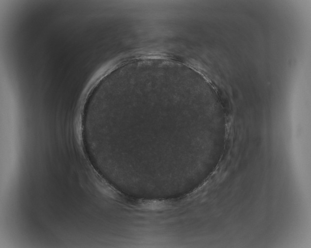 X0000111120293200907071003