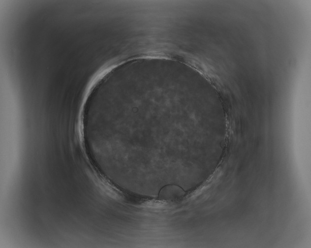 X0000111120294200907071003