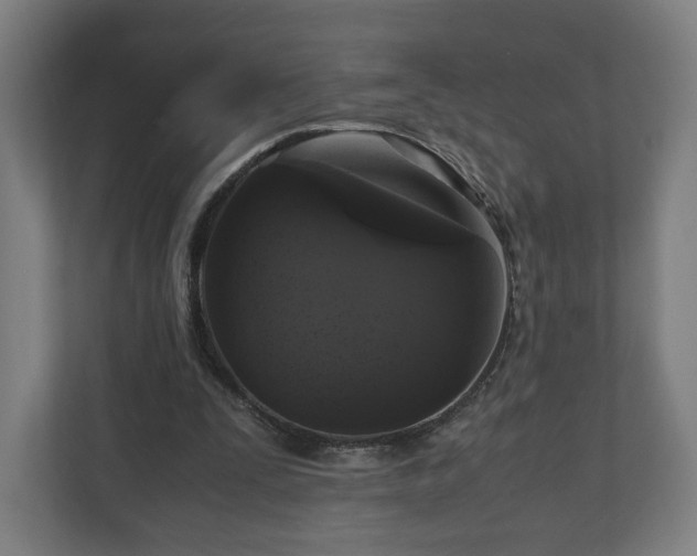 X0000111120295200907071003