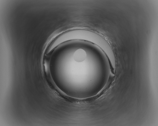 X0000111120296200907071003