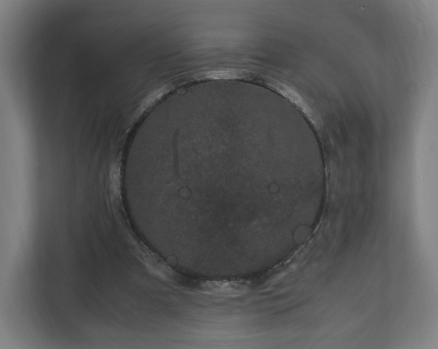 X0000111120297200907071003