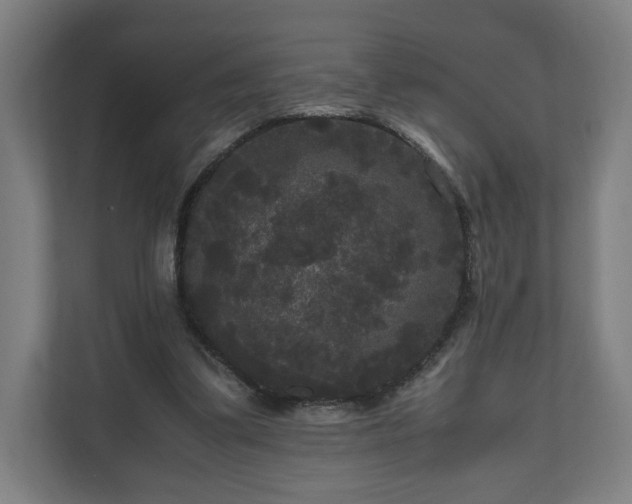 X0000111120299200907071003