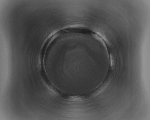 X0000111120300200907071003