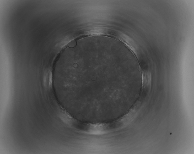 X0000111120301200907071003