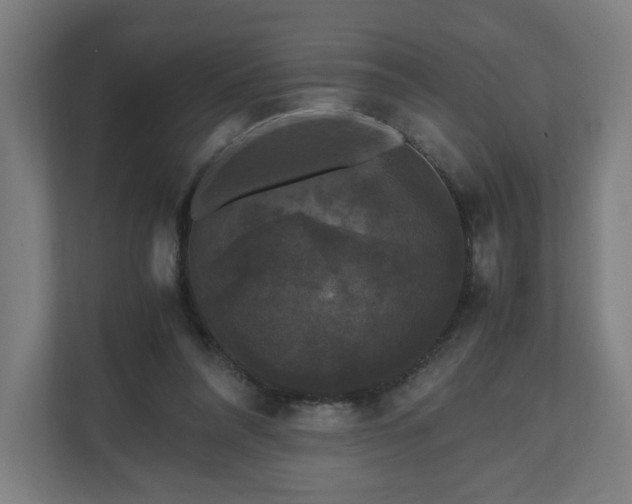 X0000111120304200907071003