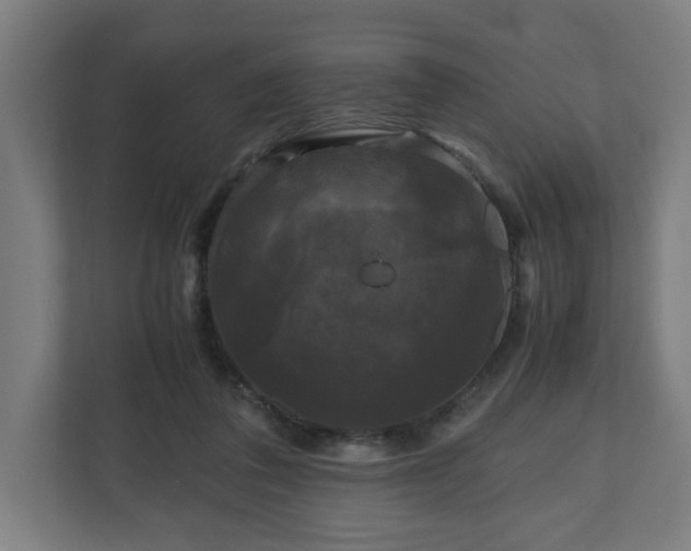 X0000111120308200907071003