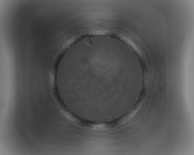 X0000111120309200907071003