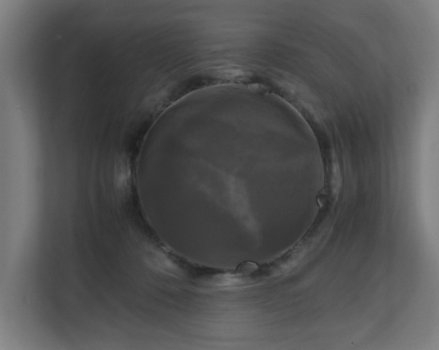 X0000111120320200907071003