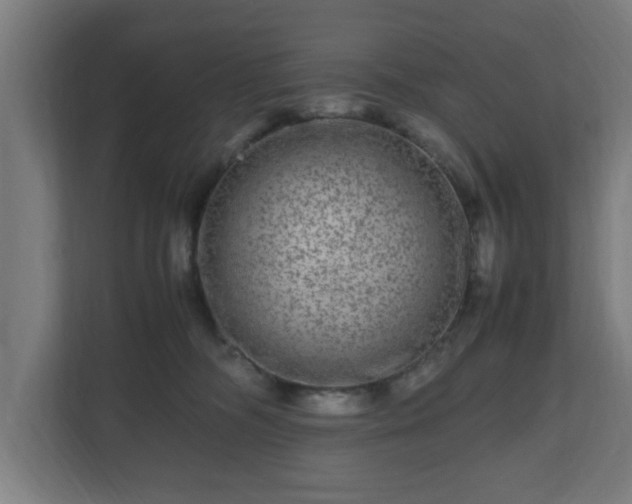 X0000111120326200907071003