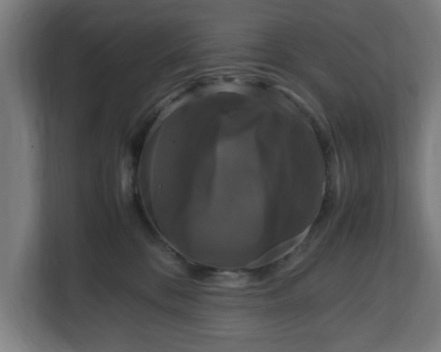 X0000111120328200907071003