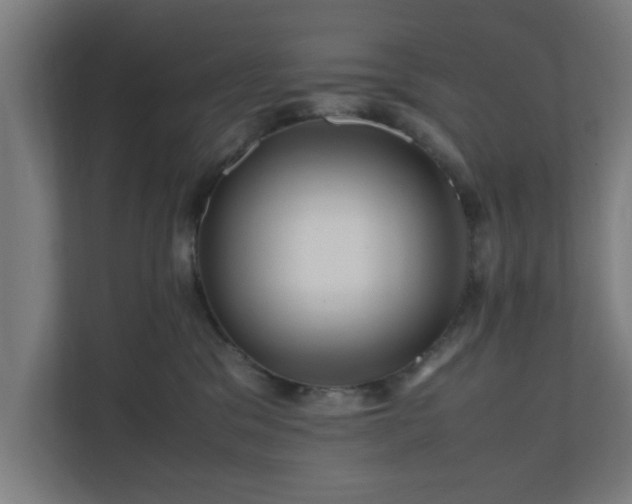 X0000111120329200907071003