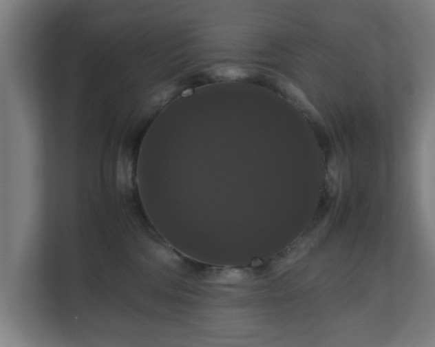 X0000111120330200907071003