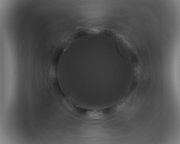 X0000111120331200907071003