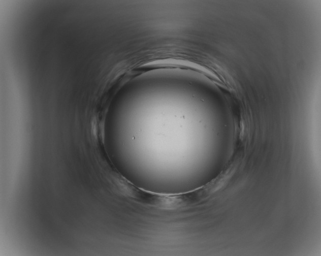 X0000111120333200907071002