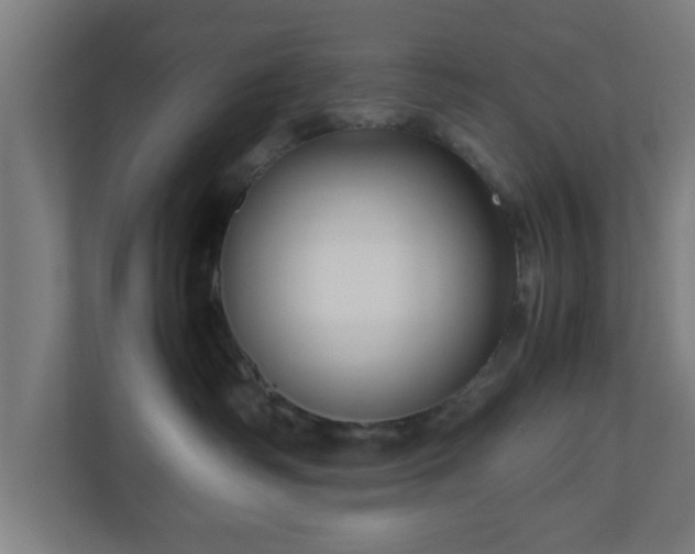 X0000111120334200907071002