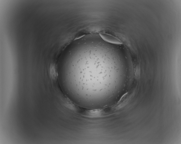 X0000111120335200907071002